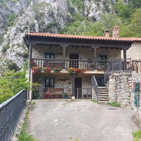 El Portal Del Abuelo Appartement Arenas De Cabrales Buitenkant foto